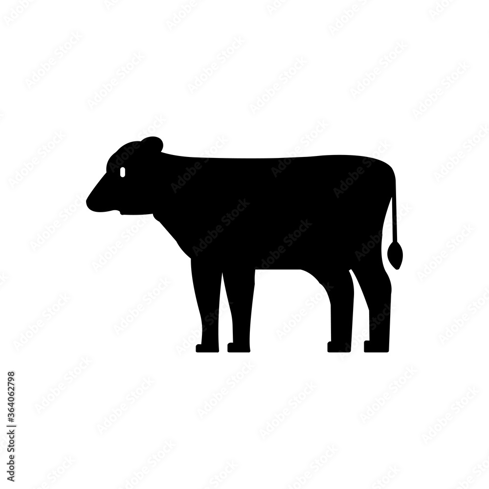 Obraz premium buffalo
