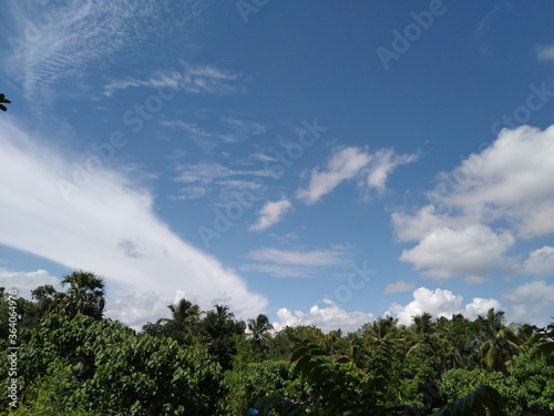 Cloudy sky in Forest