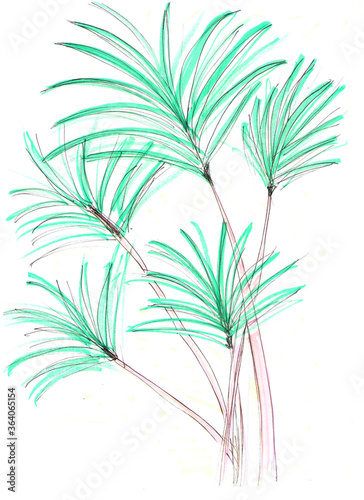 green tree freehand palm marker