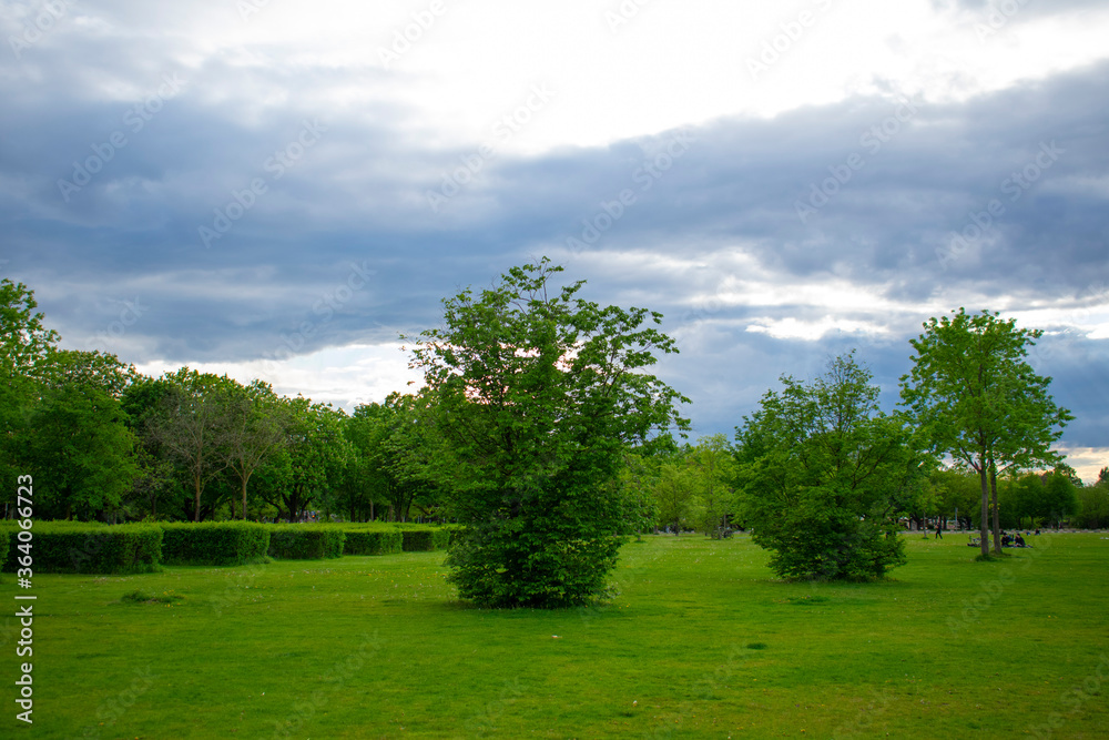 Lush green field and trees near the reichstag building in Berlin Germany