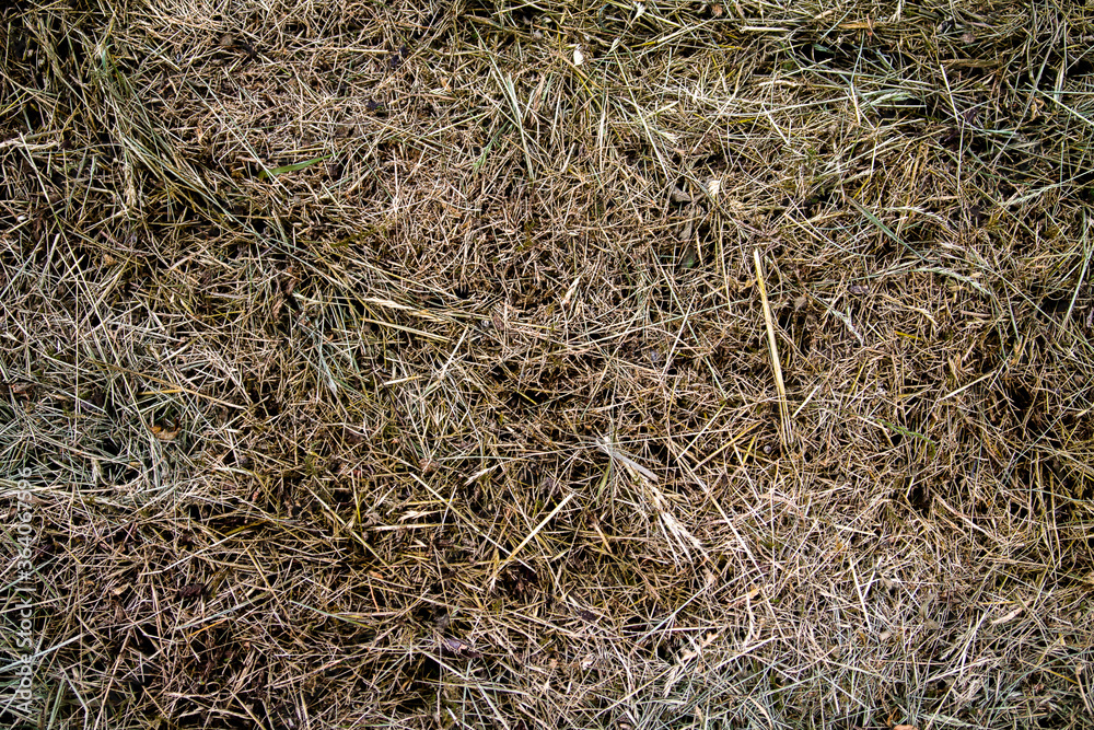 Texture of dried hay. It was piled up and dried after harvest.