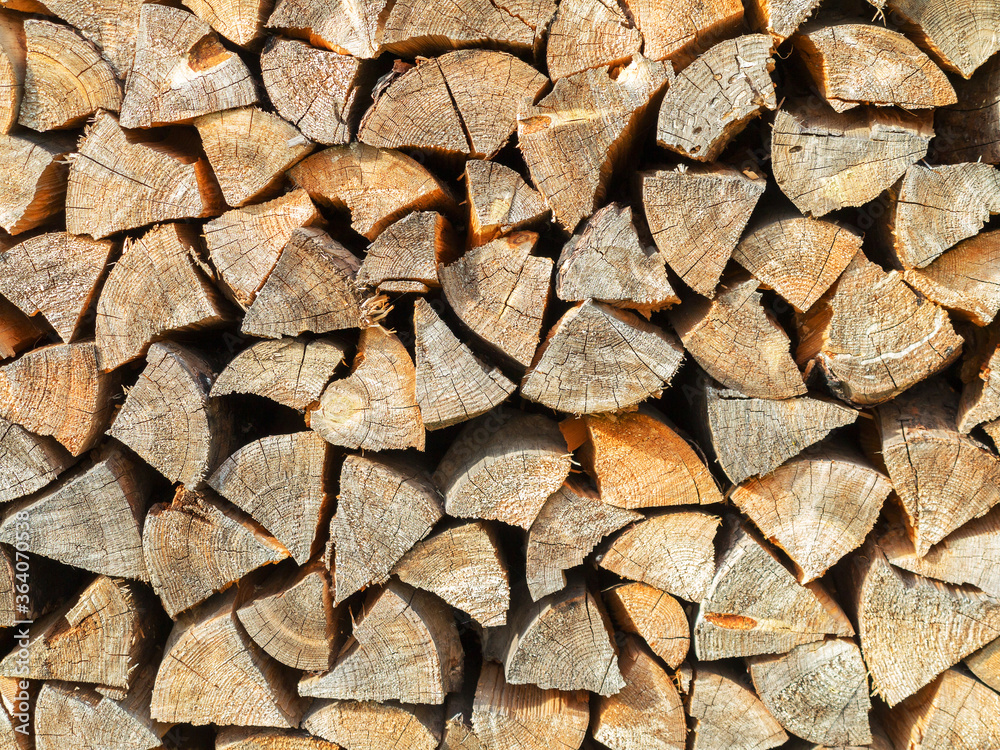 Cross section of the timber for the background. Selective trendy soft focus. Cross section of the timber for the background. Selective trendy soft focus.