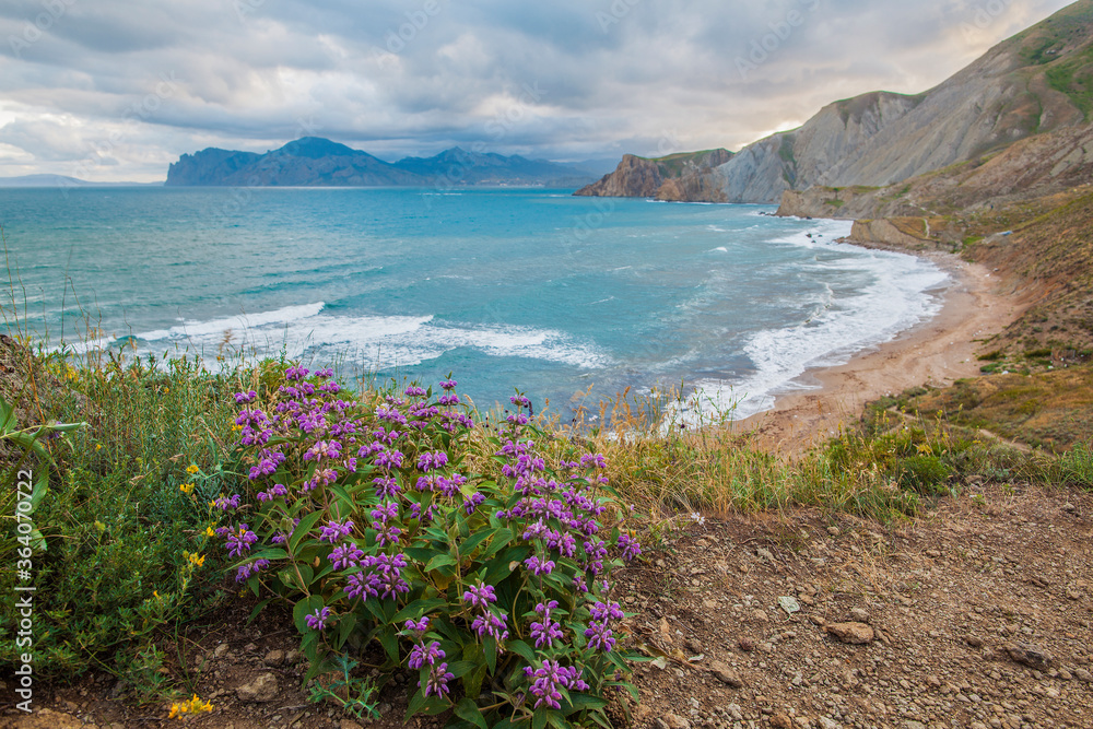 Sea, mountains, violet flowers, sky with clouds