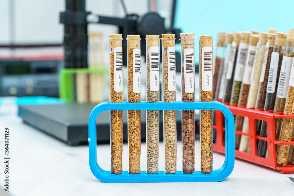 Research Analyzing Agricultural Grains And seeds In The Laboratory Research Analyzing Agricultural Grains And seeds In The Laboratory