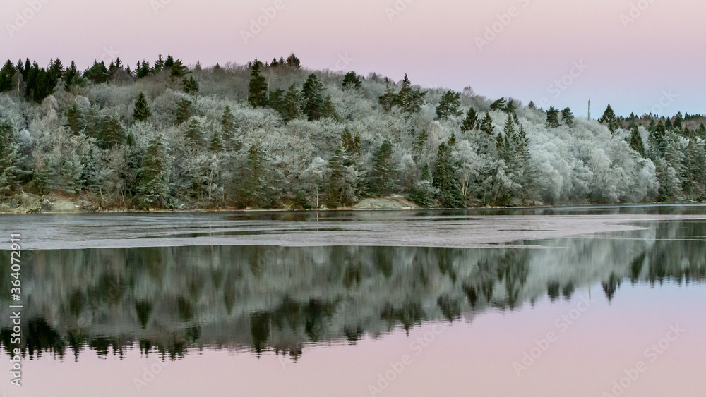 Calm water, reflections trees, sky. Beautiful silence morning at sunrise, dawn in early winter. Pink colored sky as background, place for text, copy space.
