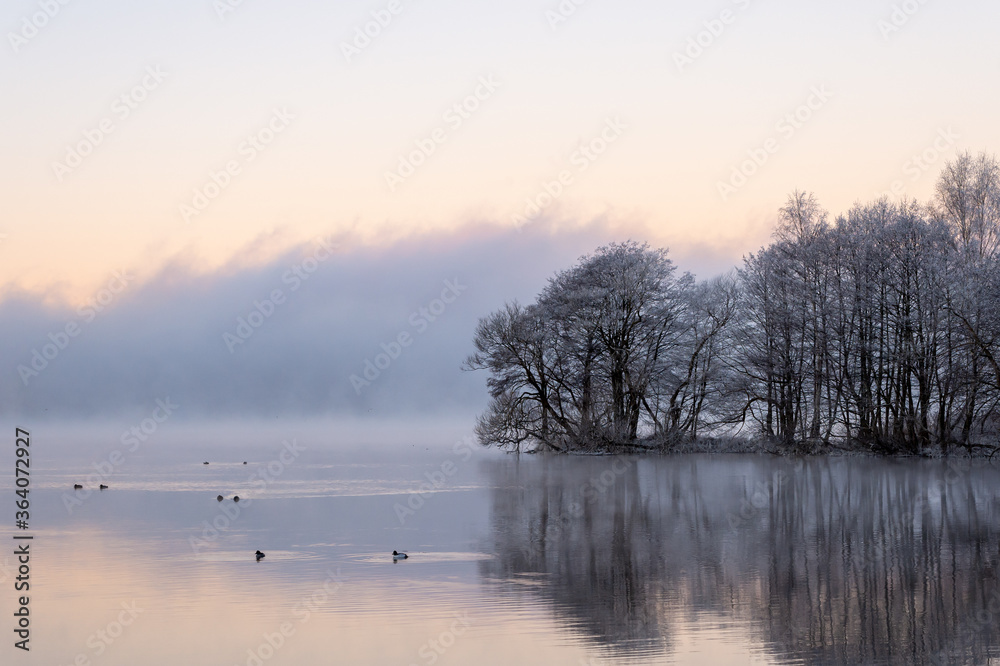 Dancing fairies, calm water, reflections from trees, birds swimming. Beautiful morning at sunrise, dawn in early winter. Bright sky and mist as background, place for text, copy space. Dancing fairies, calm water, reflections from trees, birds swimming. Beautiful morning at sunrise, dawn in early winter. Bright sky and mist as background, place for text, copy space.