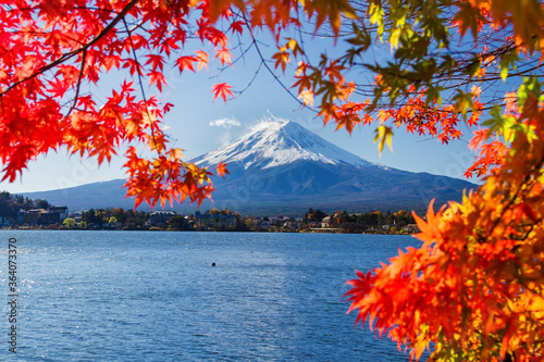 Fototapeta Naklejka Na Ścianę i Meble -  Autumn Season and Mountain Fuji with red leaves at lake Kawaguchiko, Japan. Five Lakes area. View with maple leaves as a frame.