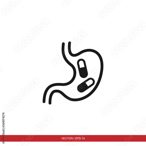 Stomach icon vector