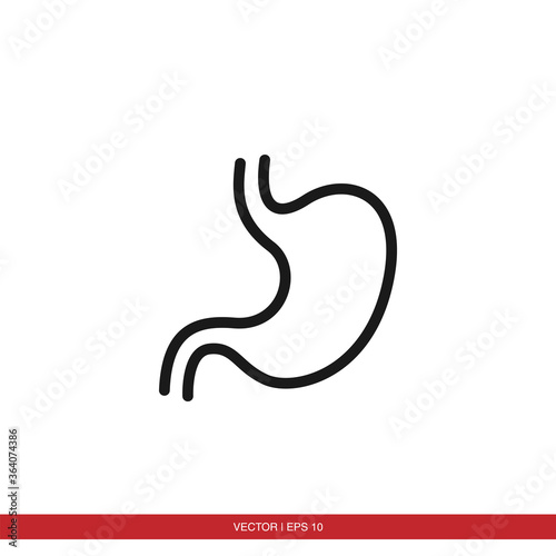 Stomach icon vector