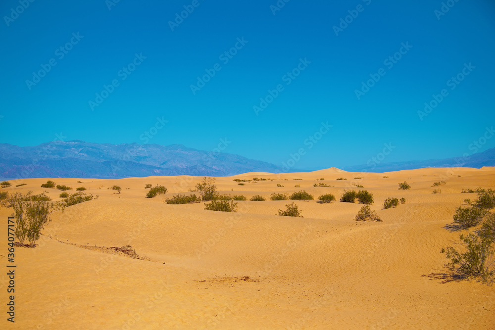 sandy desert of death valley national park in extreme hot temperature with mountain view at horizon