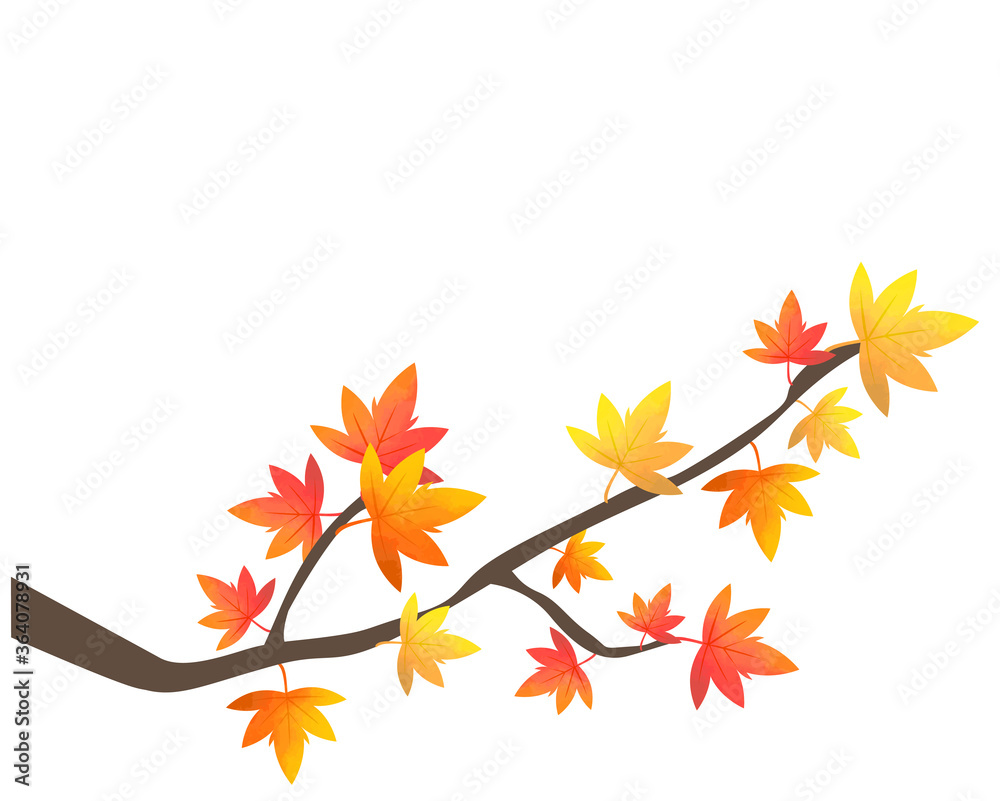 紅葉のイラスト 楓 木 紅葉のイラスト 楓 木