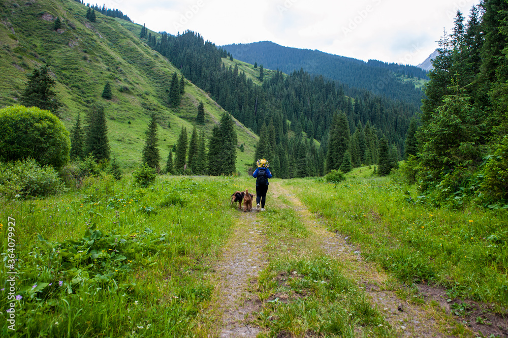 Young woman with dogs goes on the path in the mountains.Beautiful landscape