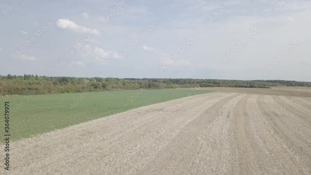 4K Aerial view of french countryside, village rural landscape, Bordeaux district, France. Summer. Drone flies above agriculture field with dry grass. Farming in Europe. 4K Aerial view of french countryside, village rural landscape, Bordeaux district, France. Summer. Drone flies above agriculture field with dry grass. Farming in Europe.