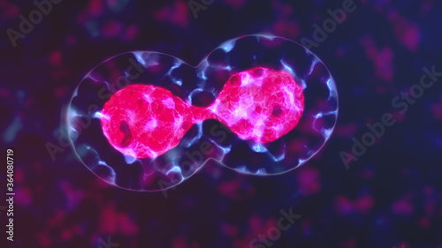 4K Cell Division. Cellular Division Under Microscope. Meiosis and mitosis