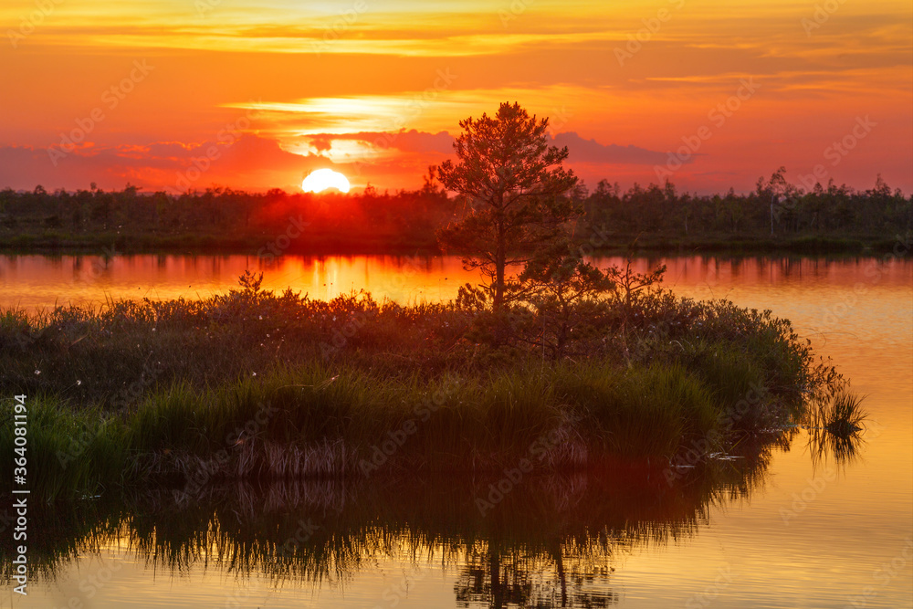 Fototapeta premium Sunset at a swamp