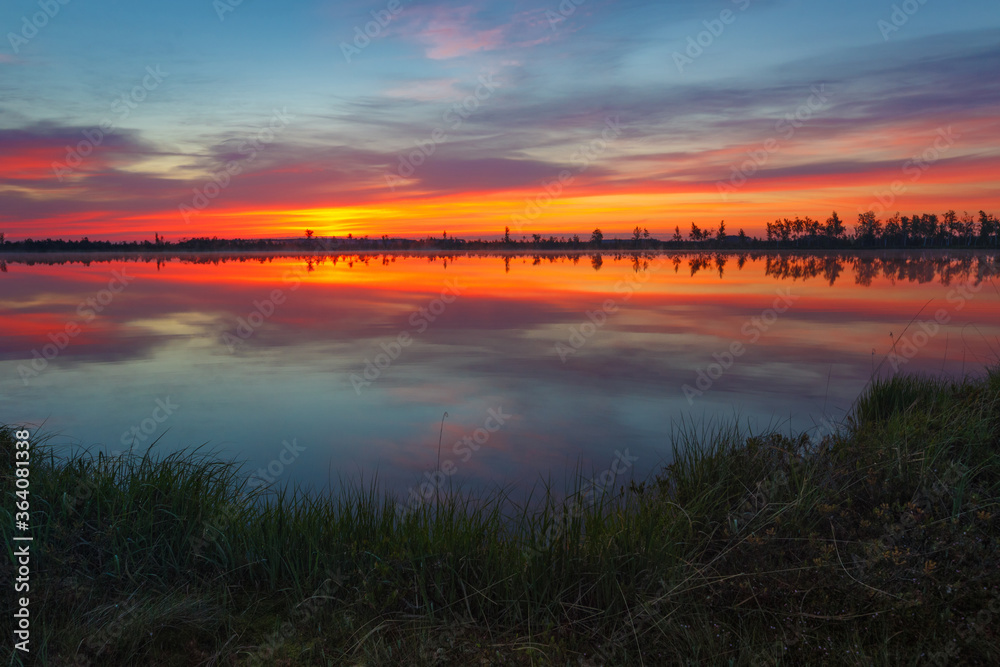 Beautiful swamp at dawn