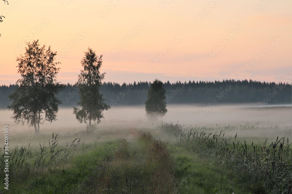 Misty field during sunset. The atmosphere is dreamy and calm. Misty field during sunset. The atmosphere is dreamy and calm.