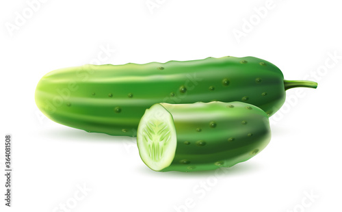 Vector realistic cucumber green haulm leaf flower
