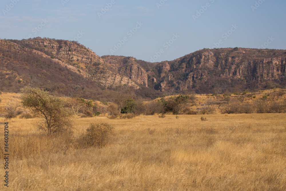  Rajasthan, India