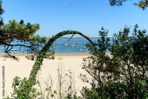 ARCACHON (France), parc et plage Pereire photo