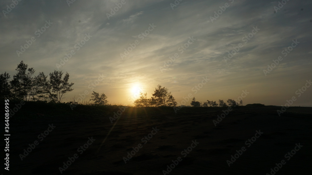 
views of shady trees and also broad grasslands at sunrise