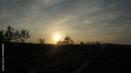  views of shady trees and also broad grasslands at sunrise