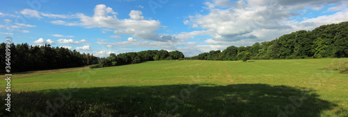 Fototapeta Naklejka Na Ścianę i Meble -  Panorama view of a mown meadow with trees and forest behind it