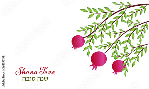 rosh Hashana, Hashana rosh, Hashana,  Shana Tova, rosh, rosh Hashanah, Hashanah rosh, Hashanah, jewish Hashana, jewish Hashanah, jewish new, jewish rosh, jewish new year, Hebrew Hashanah, Israel