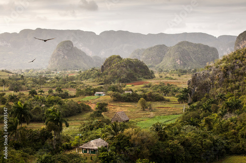 Photography Beautiful Vinales Valley with palm trees and fog