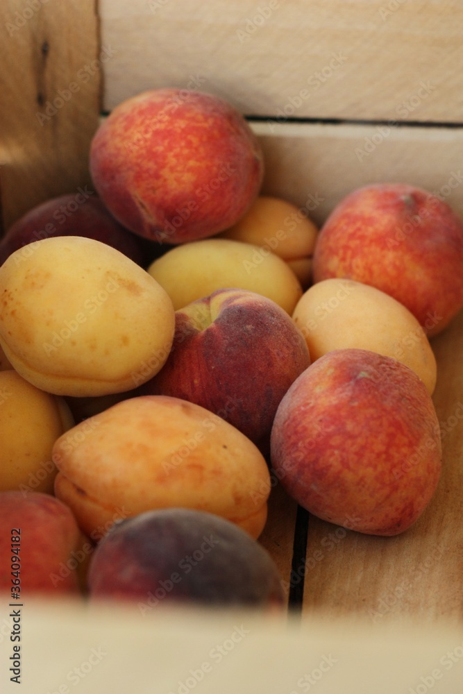 Ripe peaches and apricots in a wooden box Ripe peaches and apricots in a wooden box