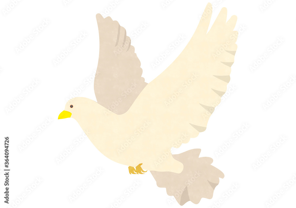 鳩 鳩