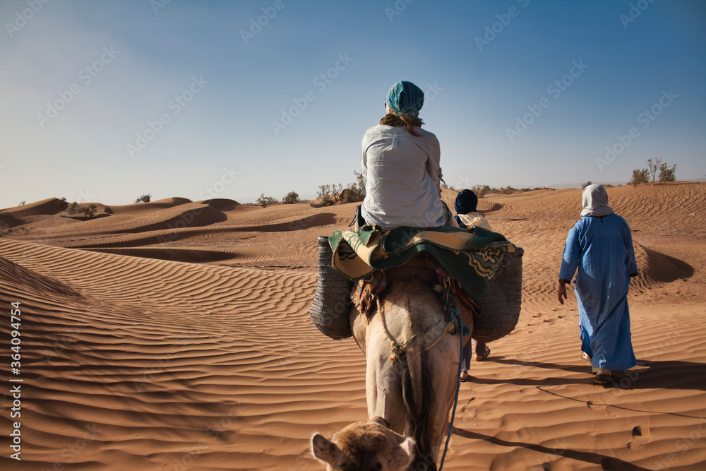 Wycieczka wielbłądami na pustynię - obrazy, fototapety, plakaty 