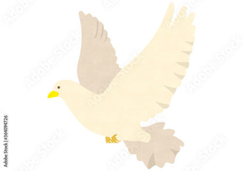 鳩