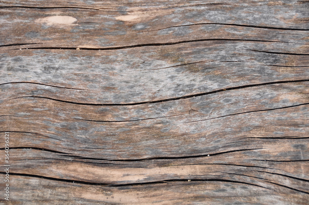 Holz ,verwittert, alt, rissig , Patina Bretter Holz ,verwittert, alt, rissig , Patina Bretter
