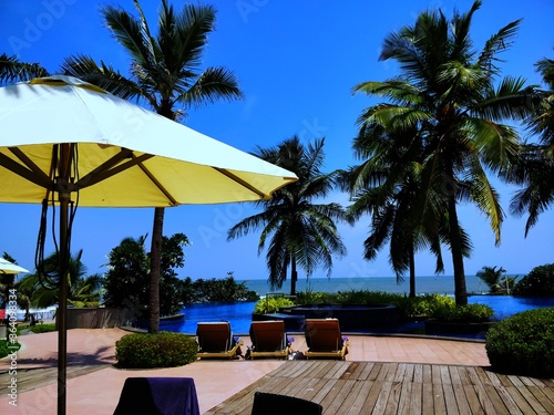 swimming pool with palm trees