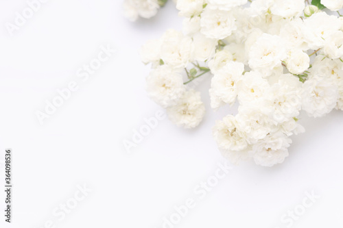 Sprigs of roses white on white background, copy space. Minimal style flat lay. For greeting card, invitation. March 8, February 14, birthday, Valentine's, Mother's, Women's day concept.