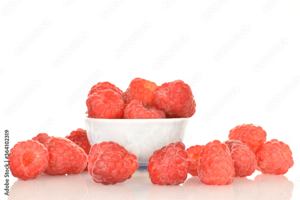 Juicy organic raspberries, close-up, on a white background. Juicy organic raspberries, close-up, on a white background.