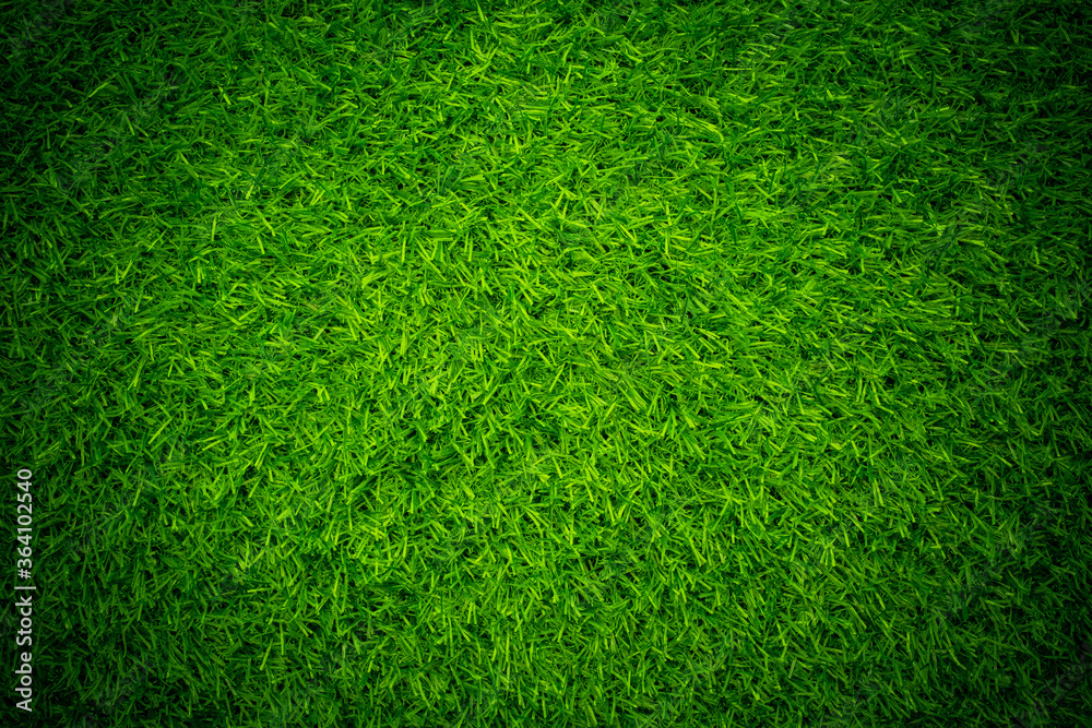 Obraz premium green grass background, football field 