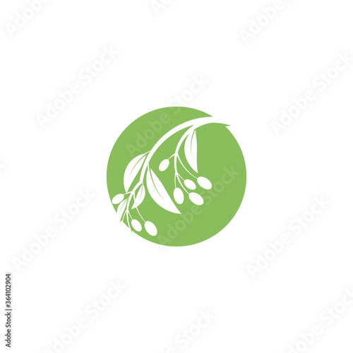 Eucalyptus leaves logo vector template