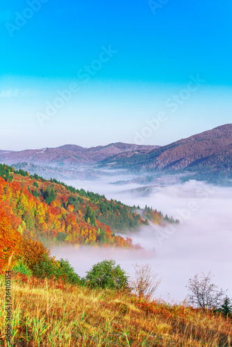 View of picturesque mountain valley with blue sky on background. Magnificent highlands with colorful trees and hills covered with dense fog. Concept of nature and rolling hills.