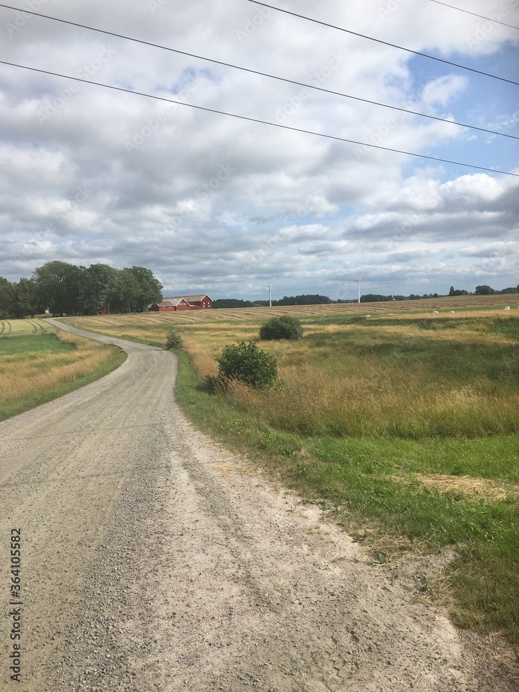 Fototapeta premium road in the countryside