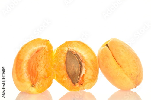 Ripe organic yellow apricot, close-up, isolated on white.
