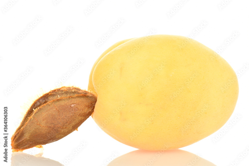 Ripe organic yellow apricot, close-up, isolated on white.