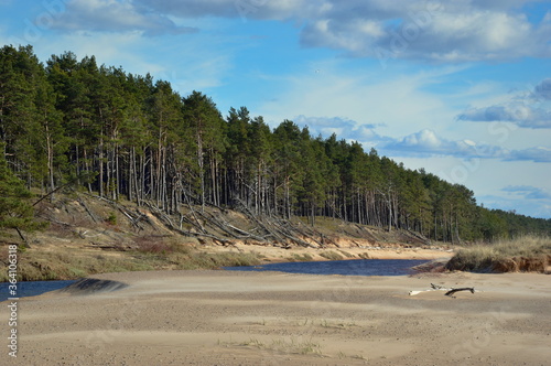 Fototapeta Naklejka Na Ścianę i Meble -  Beaches of Latvia in spring