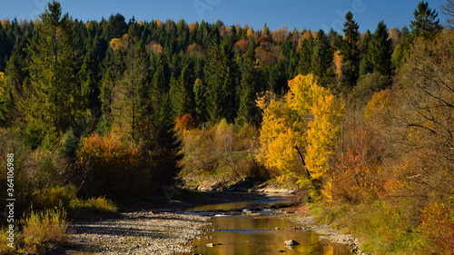 Fototapeta Naklejka Na Ścianę i Meble -  Colorful autumn in Bieszczady National Park