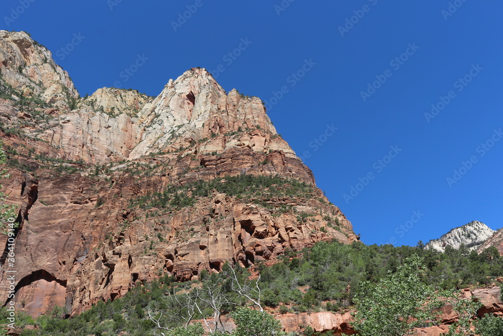 scenic Trails in Zion National Park, Utah scenic Trails in Zion National Park, Utah