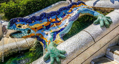 Multicolored mosaic salamander. Barcelona, Spain