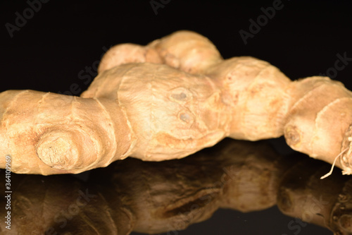 Fresh ginger root, close-up, on a black background.