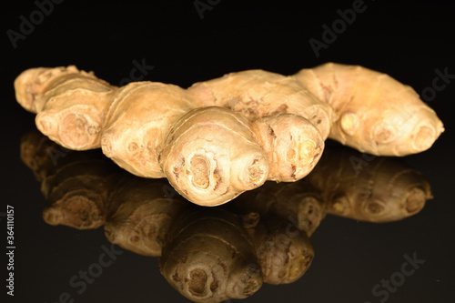 Fresh ginger root, close-up, on a black background.