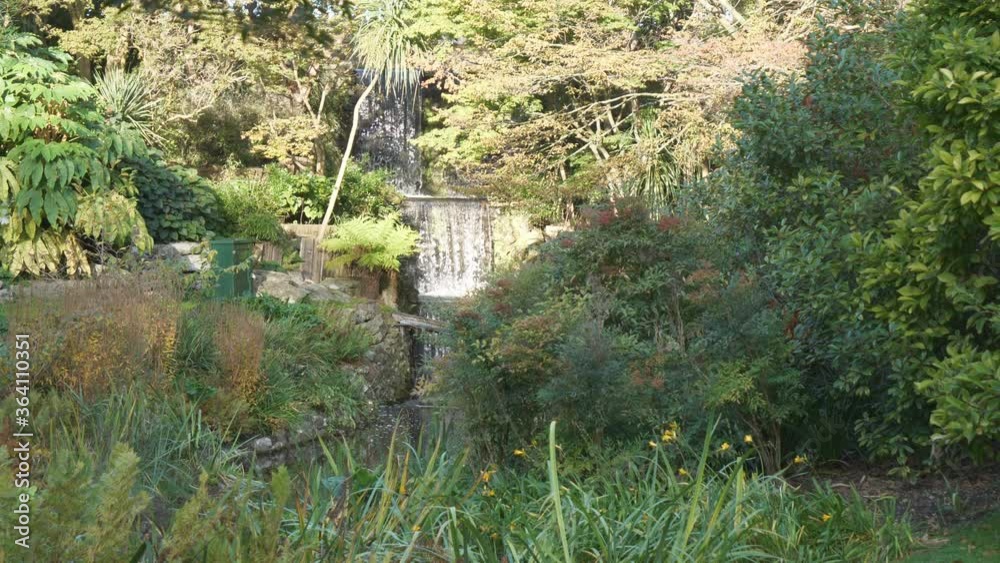 A view of a waterfall hidden amongst bushes. A view of a waterfall hidden amongst bushes.